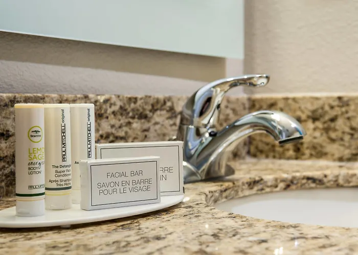 Hotel Towneplace By Marriott Minneapolis Near Mall Of America